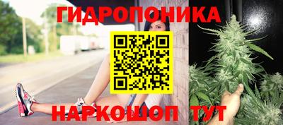 PSILOCYBIN Кинель