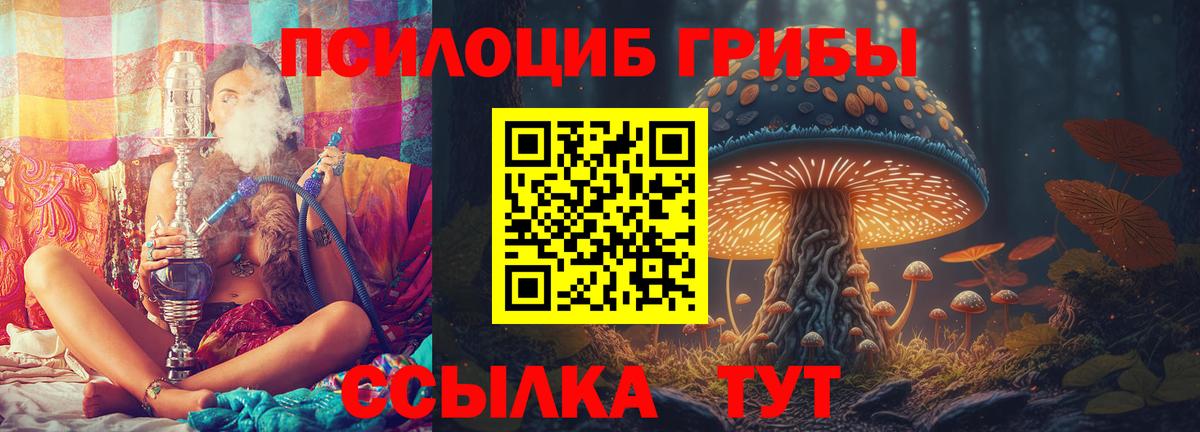 Кемерово  Псилоцибиновые грибы Psilocybe  Вход с VPN 